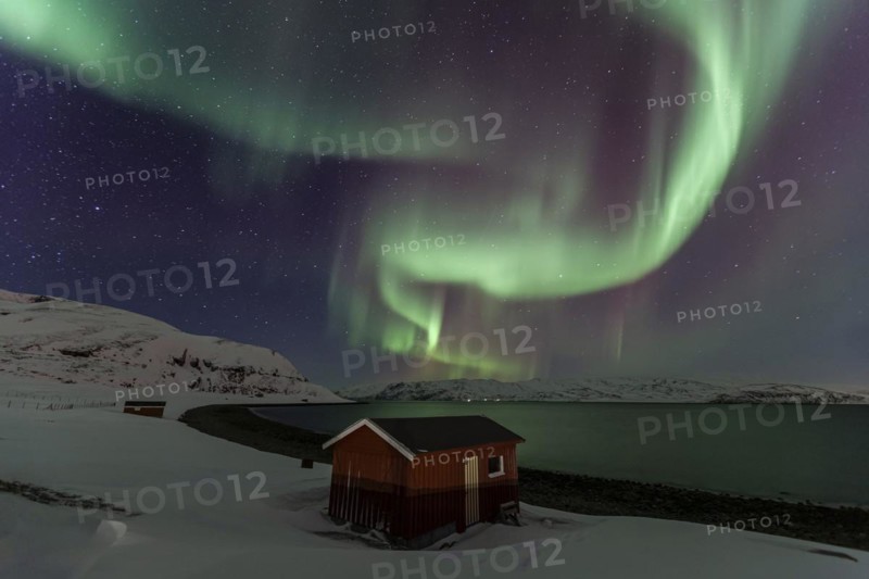 Green and violet northern lights over red hut on coast, aurora borealis, winter, snow, Repparfjord, Finnmark, Norway