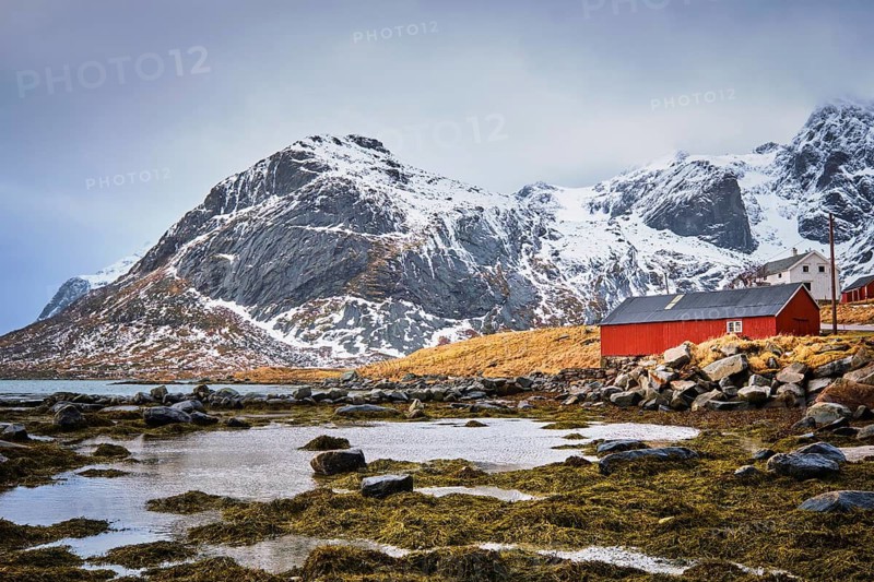 Red rorbu house in Norwegian fjord. Lofoten islands, Norway