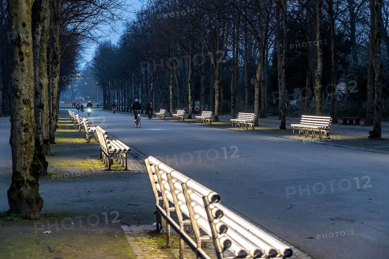 The light benches by artist Stefan Sous in the Hofgarten, entitled UV-A UV-B, 14 completely refurbished exhibits from the 2002 art exhibition hell-grau, which now stand and light up as a permanent work of art on Jägerhofallee, LED technology, Düsseldorf, North Rhine-Westphalia, Germany
