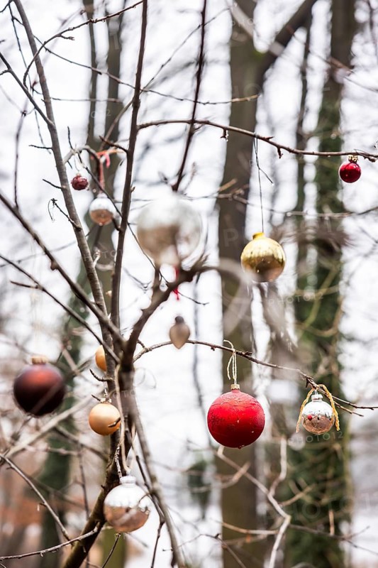 Christmas tree balls on trees in Grunewald, Zehlendorf, Berlin, Germany