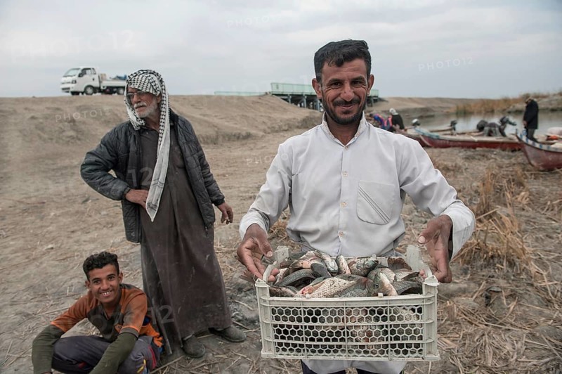 Basra, Iraq. November 3rd 2018 Marsh Arab fishermen return with their catch from the Hamar Marsh, low water levels and increased salinity have reduced fish size and stock in the Southern Marshes of Iraq