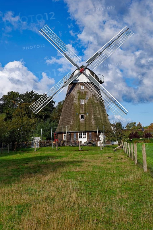 Ahrenshooper Mühle, Ahrenshoop mill with café, holiday flat, gallery, Ahrenshoop, Fischland-Darß-Zingst peninsula, Baltic Sea, Mecklenburg-Western Pomerania, Germany