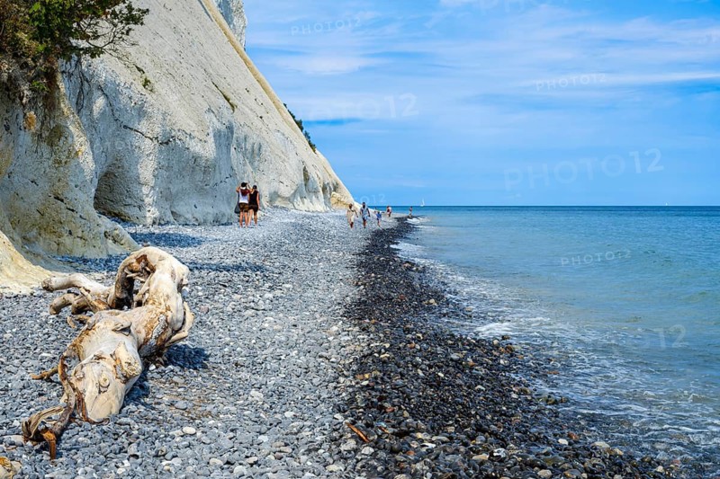 Möns Klint, the chalk cliffs of Mön, Mön Island, Denmark, Scandinavia