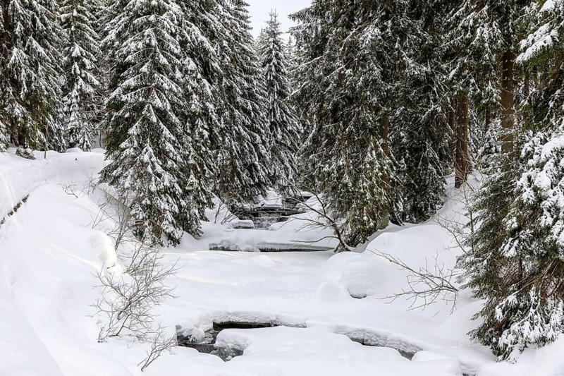 River Mummel in the snow, Harrachsdorf in the Giant Mountains, Czech Republic