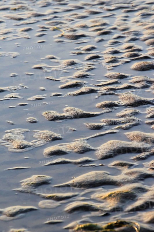 Baltic Sea beach, Usedom, Mecklenburg-Western Pomerania, Germany