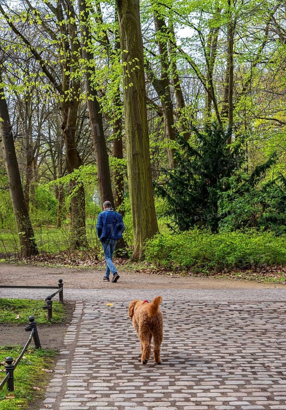 Walker with dog in the Großer Tiergarten, Berlin, Germany