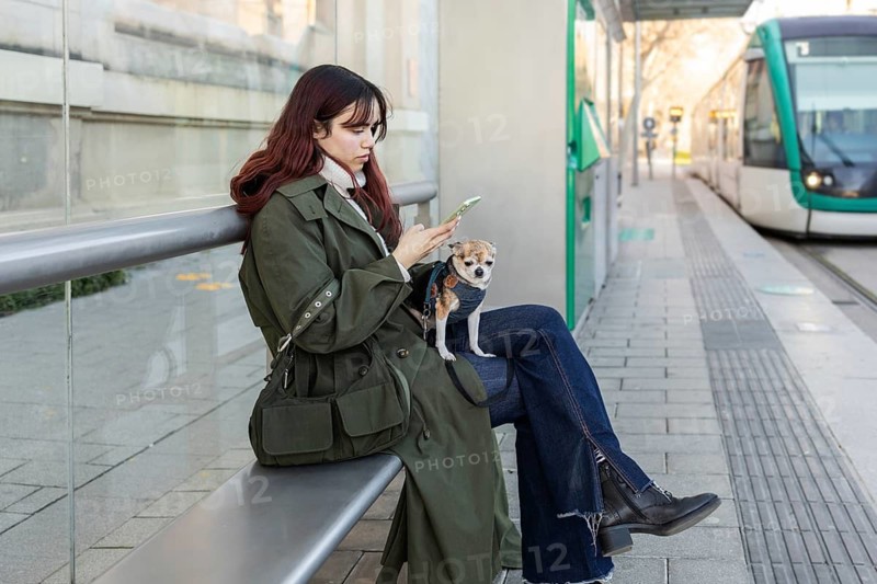 A young woman in a green coat, with a small chihuahua on her lap, uses a smartphone while sitting at a tram stop. The tram is approaching in the background