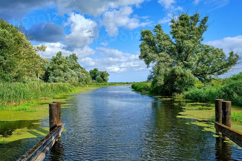 Picturesque river landscape, view from the heritage-protected wooden bascule bridge over the Trebel near Nehringen, municipality of Grammendorf, Mecklenburg-Western Pomerania, Germany