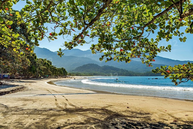 View of Castelhanos Beach on Ilhabela Island seen through the vegetation of the tropical forest