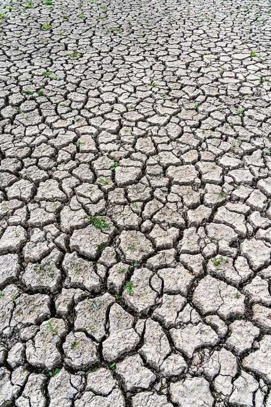 Dry ground, cracked, dried-up riverbed, in a branch of the Rhine, near Duisburg