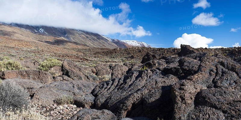 Teide National Park, Tenerife, Canary Islands, Spain