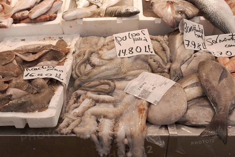 Octopus, octopus, squid, market, Mercado central, Cadiz, Spain