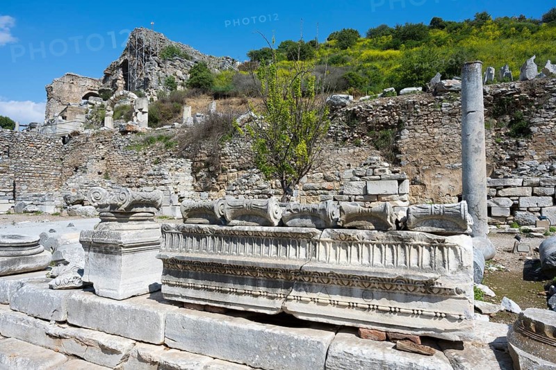 Ancient ruins with columns and walls surrounded by vegetation under clear blue sky, Fountain of Trajan, Ephesus, Ephesus, UNESCO World Heritage Site, Izmir Province, Ionia, Turkey