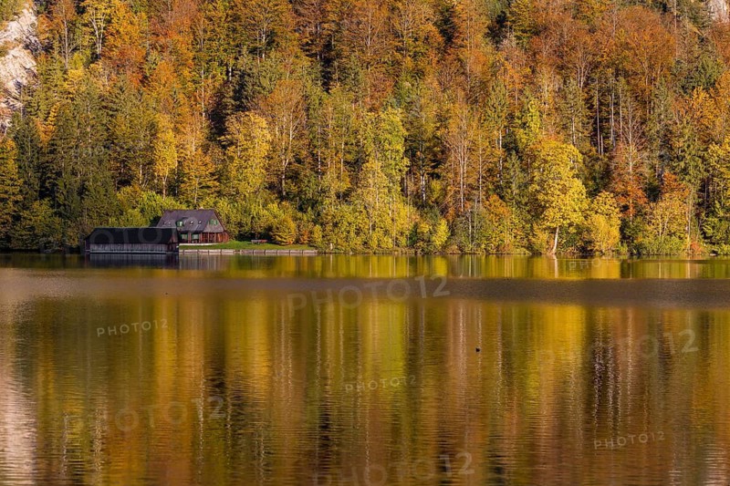Lake Almsee in autumn with a forest reflected in the lake