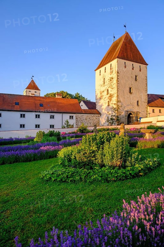 Sunrise in the paradise garden, lavender, Neuburg am Inn Castle, Neuburg am Inn, Lower Bavaria, Bavaria, Germany