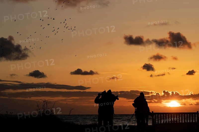 People birdwatching birdwatchers viewing wading birds heading off to roost on The Wash at sunset, RSPB Snettisham nature reserve, Norfolk, England, United Kingdom