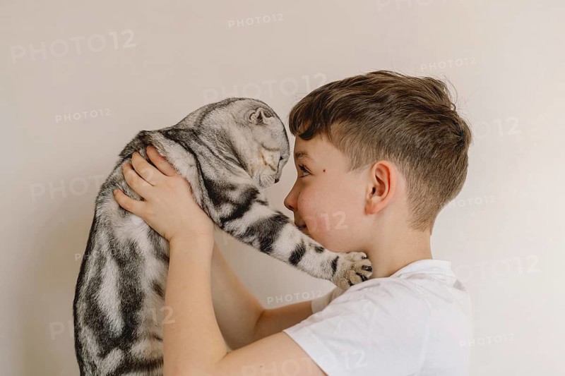 A young boy lovingly holds a Scottish Fold cat, its signature folded ears and unique coat on display. Their affectionate gaze highlights a tender human-animal bond