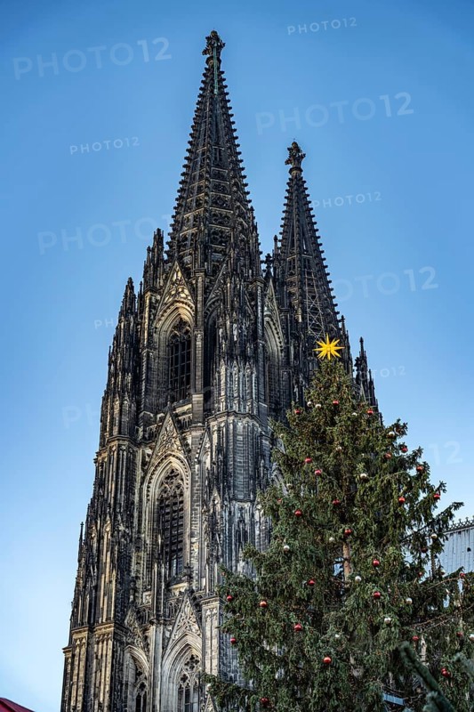 Christmas tree at Cologne Cathedral in Cologne, North Rhine-Westphalia, Germany