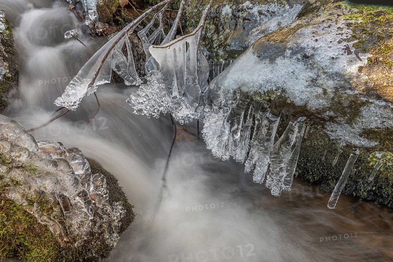 Branches are covered with ice near the river. The water flows gently and forms ice formations on the land and between the rocks. Upper Rhine, Vosges, Alsace, France