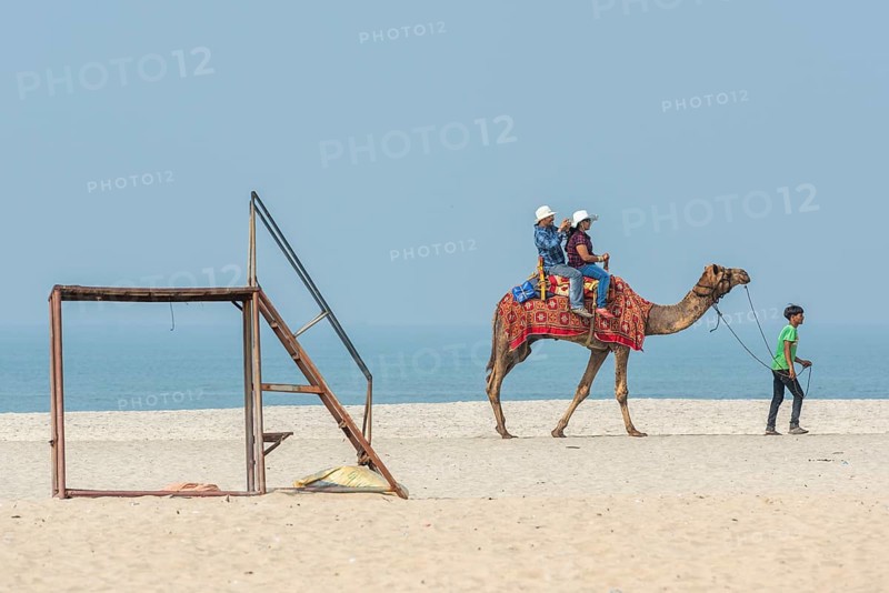 Indian tourists riding camel, beach, Alappuzha or Alleppy, Kerala, India