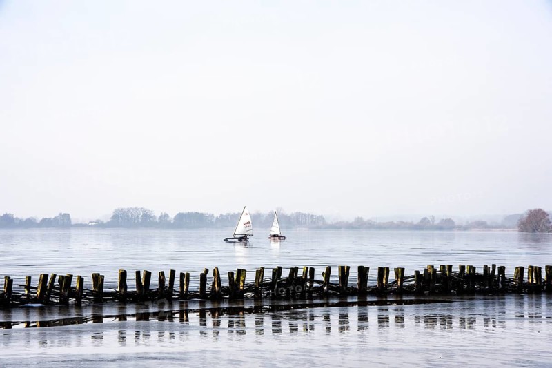 Ice sailor on frozen Dümmer Lake, Lembruch, Lower Saxony, Germany