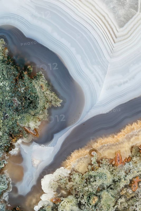 Detailed macro image of a cut and polished agate nodule, highlighting its stunning colors, intricate banding, and organic textures with green, gray, and golden hues