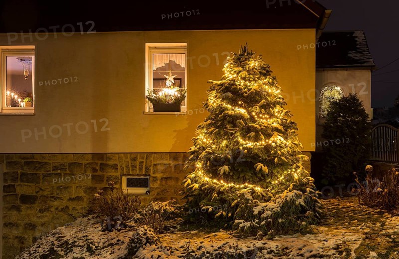 Illuminated Christmas tree in front of a residential building, Schwarzenberg, Saxony, Germany