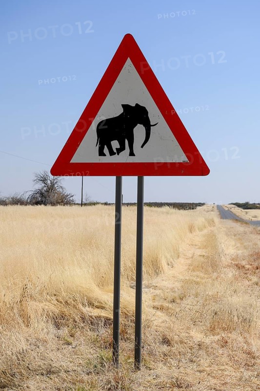 Beware of elephants sign, near Khorixas, Damaraland, Kunene Region, Namibia