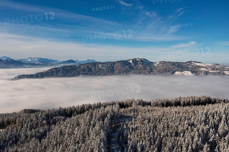 Drone flight over a winter landscape with snow-covered forest and sea of fog, Mondseeland, Salzkammergut, Upper Austria, Austria