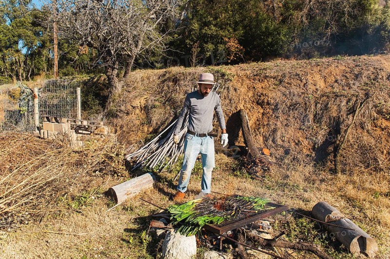A man prepares calsots over an open flame in a rustic outdoor setting, celebrating the Catalan tradition. The earthy environment enhances the authenticity and charm