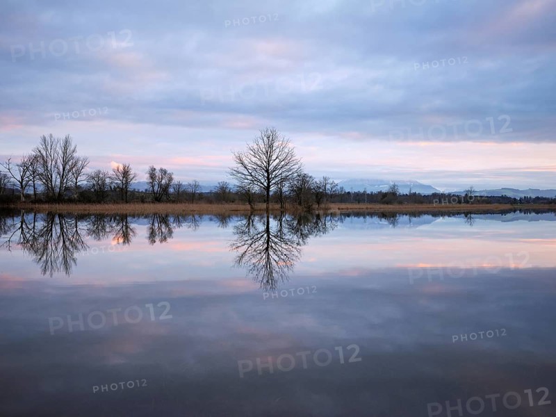 Evening atmosphere in the flooded Reussspitz nature reserve, Canton Zug, Switzerland