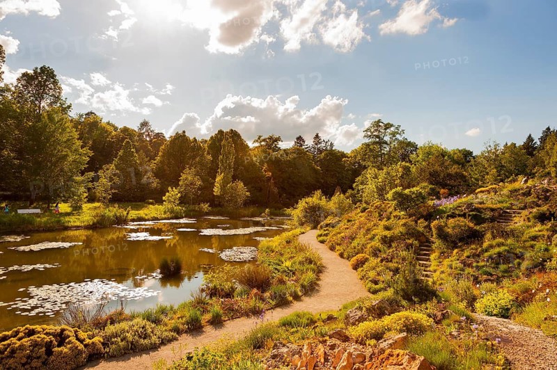 Botanical Garden, next to Nymphenburg Palace Park, 110th anniversary in 2024, Alpine Garden on the Schachen with pond on the right, Munich, Bavaria