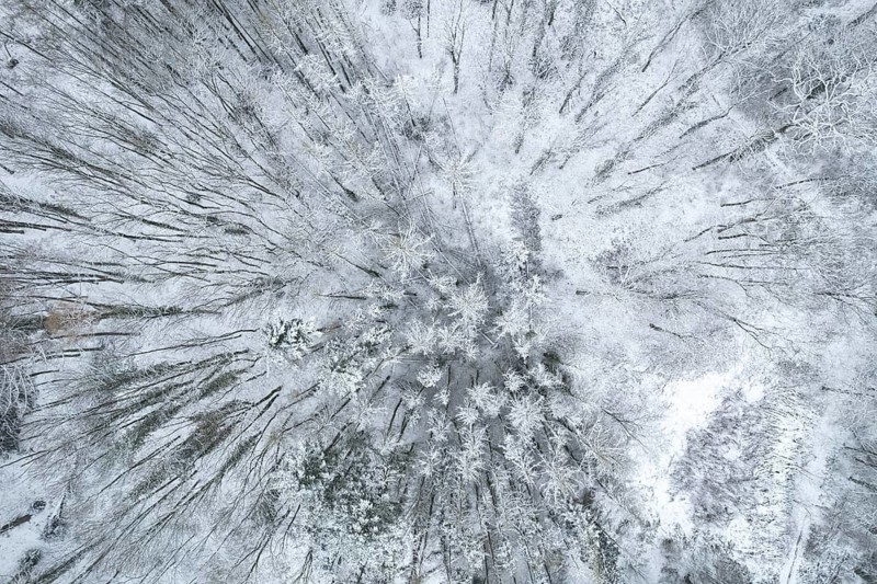 Snow-covered forest seen from above, Arnsberg, Hochsauerlandkreis, North Rhine-Westphalia