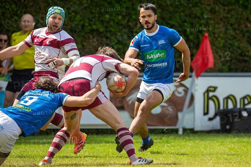 Rugby 1st Bundesliga South/West, Season 2024/25, Matchday 14: SC Neuenheim vs RSV Köln