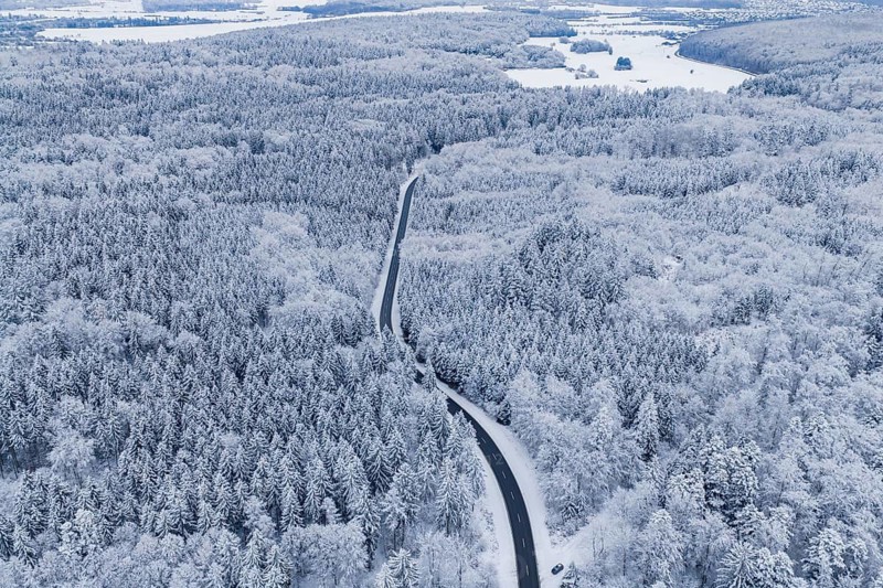 Snow-covered road leads through a vast winter forest, Gechingen, Calw district, Germany