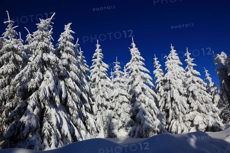 Winter landscape in the Fichtelgebirge, Bayreuth district, Upper Franconia, Bavaria, Germany