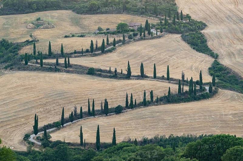 Typical Tuscan landscape in Val d'Orcia with hills, trees, fields, cypresses and farm road in autumn at sunset, La Foce, Tuscany, Italy