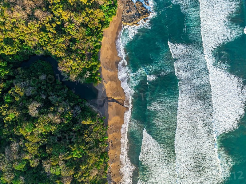Aerial view, top-down, rainforest, sandy beach and coast with waves, Playa Cocalito, Puntarenas, Costa Rica