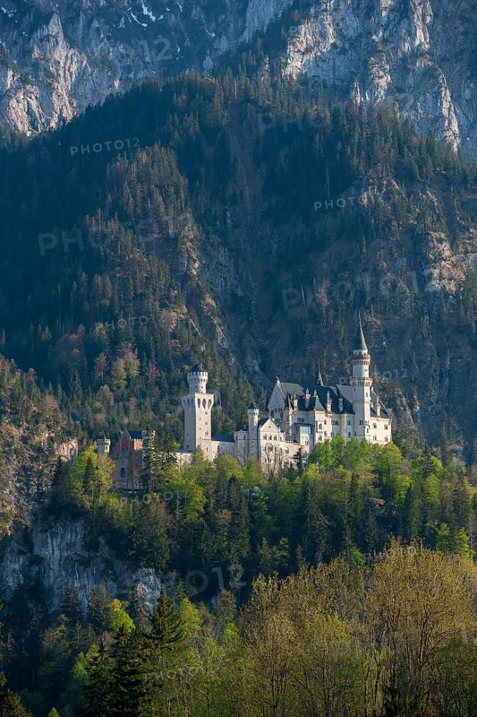 Historic Neuschwanstein Castle is enthroned on a hill, surrounded by mystical, wooded mountains in impressive light, Schwangau near Füssen, Ostallgäu district, Swabia, Bavaria, Germany