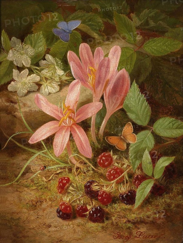 Autumn flower with blackberries, painting by Josef Lauer (1818, 1881), Austrian still life painter who was active in the Biedermeier period, among others