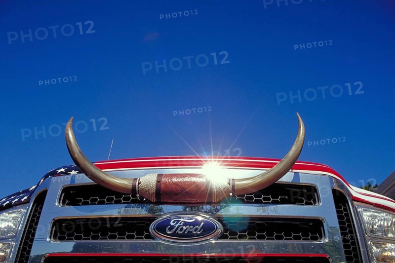 Belongs on the grille on a Ford pick up, blue sky, New Jersey, USA