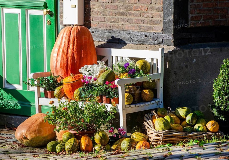 Pumpkin, flowers, autumn, harvest, harvest festival, bank, farmhouse, hamburg, germany, halloween, orange, harvest, vegetables, decoration, food, thanksgiving, sales market, fruit, bottle gourd, portico, season, nature, farm, seasonal, yellow, house, flower, door