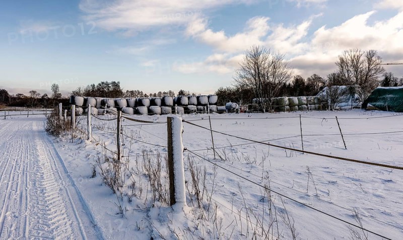 Winter landscape, fields and fields in Berlin Lübars, a village in Berlin Reinickendorf, Germany