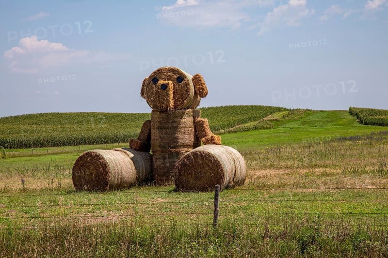 Holdrege, Nebraska - Art from hay bales on a Nebraska farm.