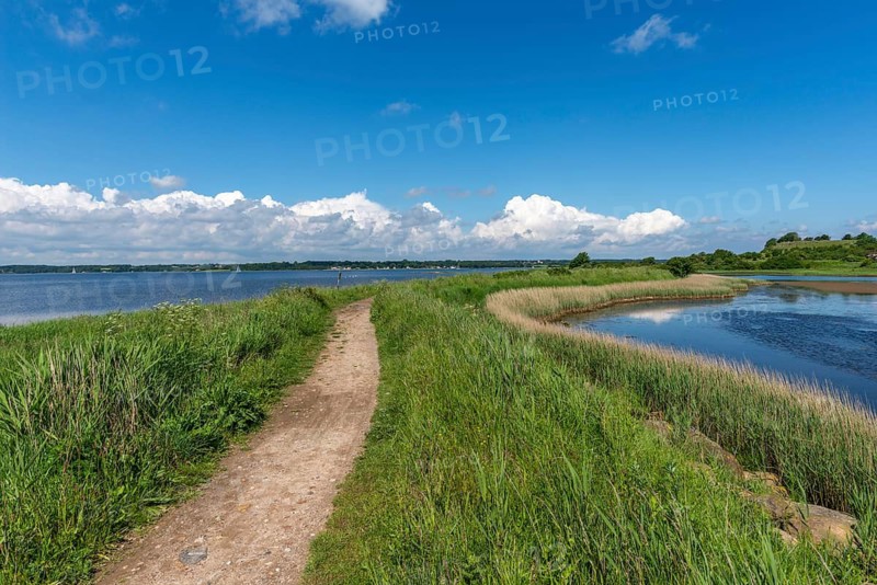 Small Noor in the nature reserve Holnis peninsula, nature reserve on the Flensburg Fjord, German, Danish border area, hiking trail, inland lake with connection to the fjord, reed shore, blue sky, white clouds, Glücksburg, Schleswig-Holstein, Germany