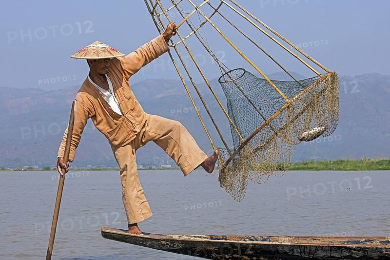 Intha fisherman balancing while holding conical bamboo frame with fishing net, Inle Lake, Nyaungshwe, Shan State, Myanmar, Burma