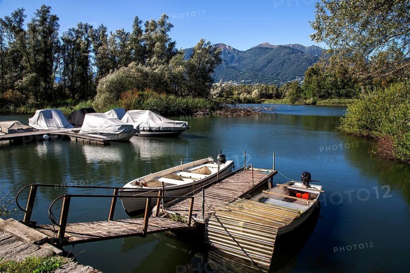 Jetty, Bolle di Magadino nature reserve, Ticino, Ticino, Switzerland