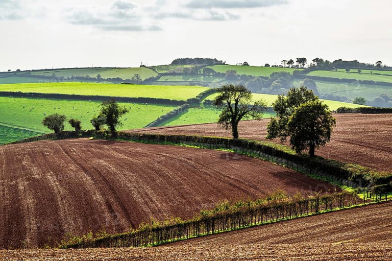 Colours of Devon Farms and Fields over Paignton and Berry Pomeroy, Totnes, England, United Kingdom