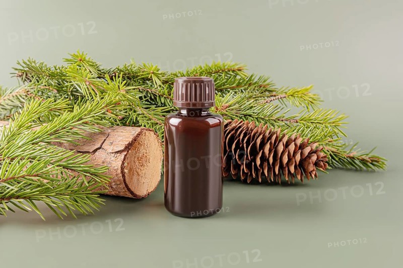 A dark brown bottle of essential oil paired with fresh pine branches, a wooden log, and a pine cone on a soft green backdrop
