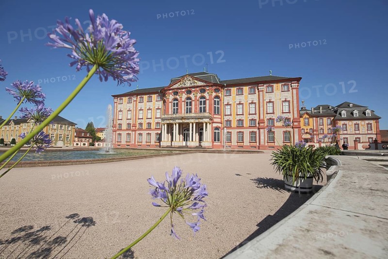 Baroque castle and decorative lilies, fountain, baroque castle, Bruchsal, Baden-Württemberg, Germany